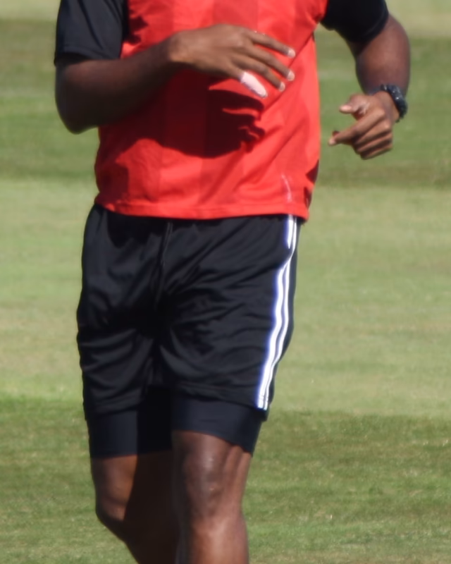 Kieron Pollard