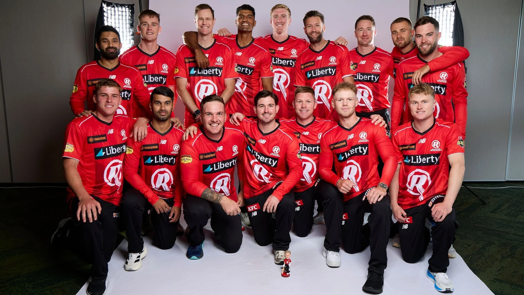 Supporting image for Cricket Australia approves private investment and a sale process for the Renegades